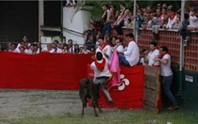 Carabobo San Ferminak 2012