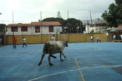 Caracas San Fermin 2013