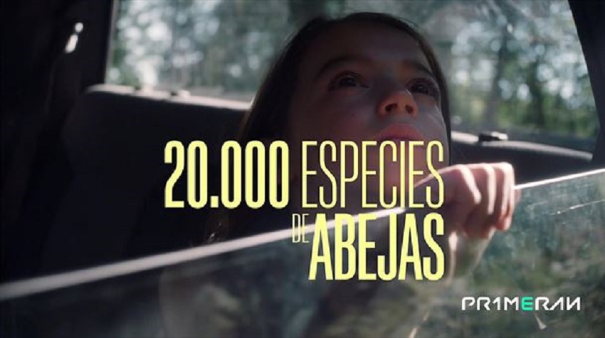 '20.000 especies de abejas'