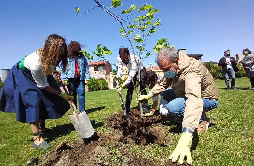 Rocio Basterra, club president and Pedro Pesatti, Viedma’s mayor planting an oak (photo City of Viedma)