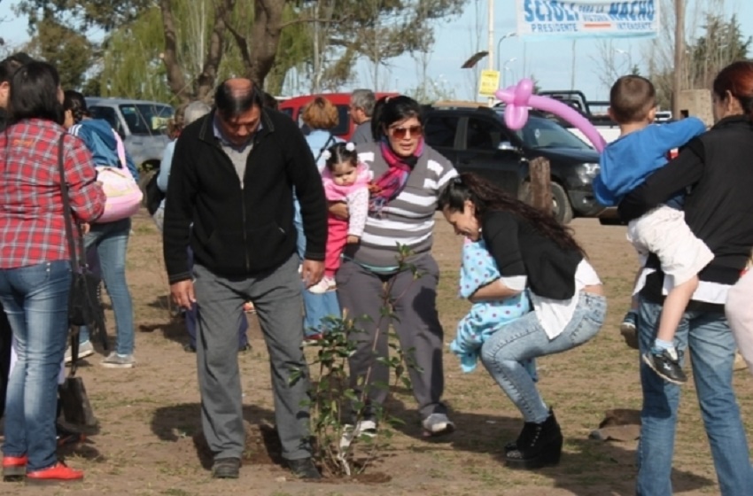 Un roble en Salliqueló