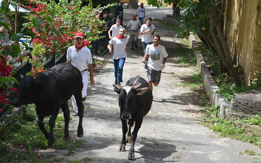 Encierro a la venezolana