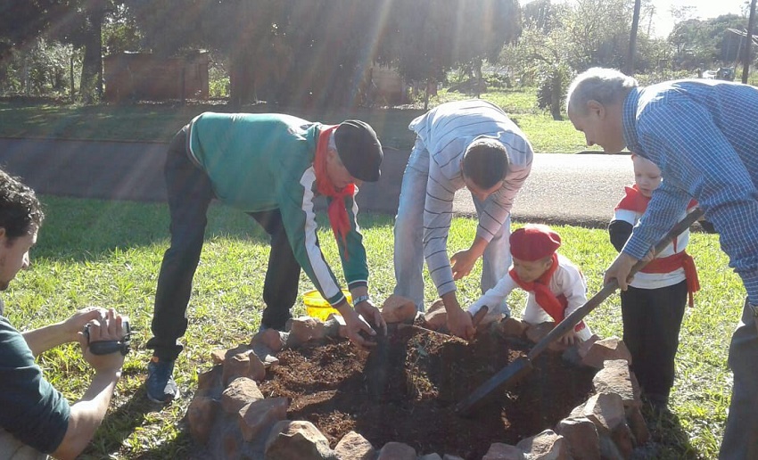 Un roble en la Plazoleta de los Vascos