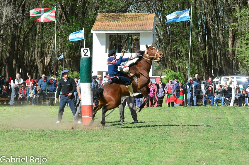 Actividades recreativas y paseos