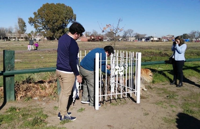 Un roble en la Plaza Anaitasuna