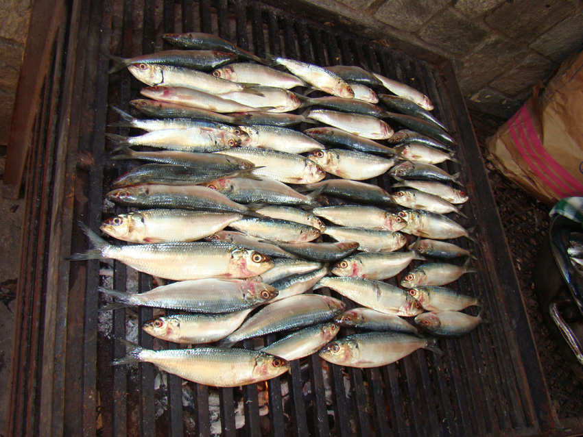 San Antolín 2014 en Caracas - Sardinas