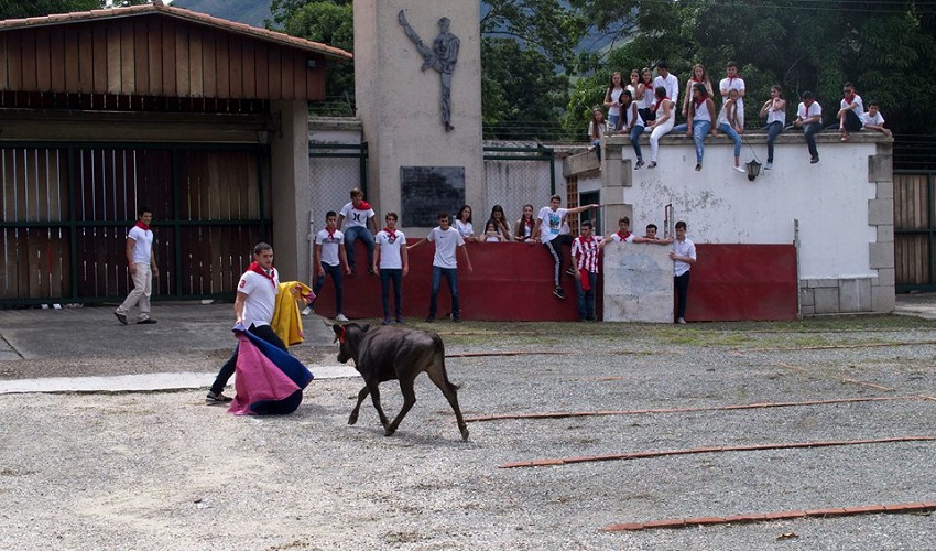 San Fermin 2016 Carabobo