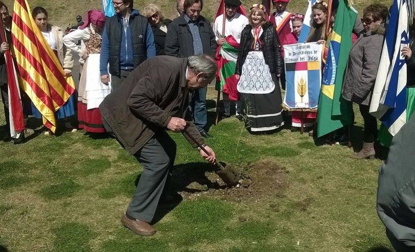 Un olivo por la paz