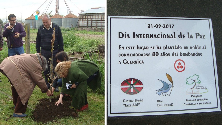 Members of the Etxe Alai Basque Club in Pehuajo planting the oak on International Peace Day