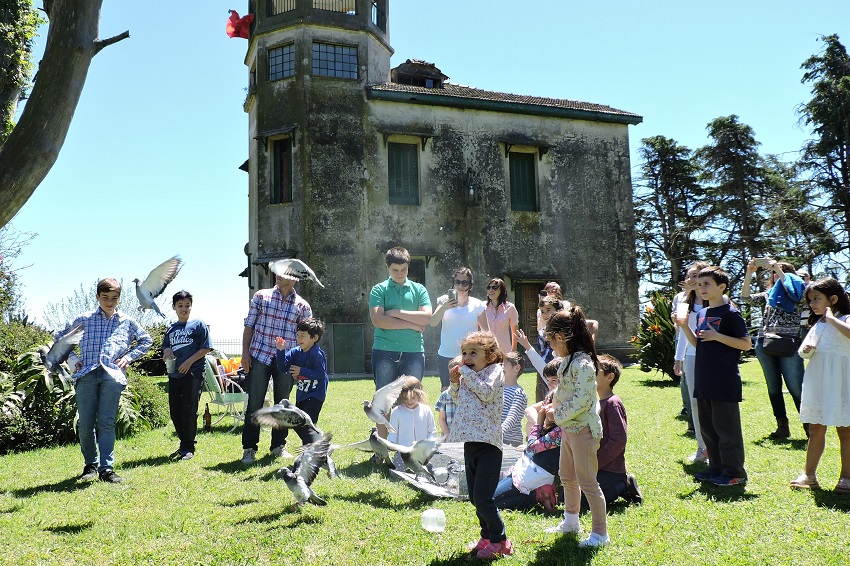 Releasing of doves