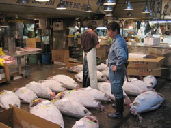 El atún, pescado tradicionalmente envasado por las conserveras vascas, es uno de los productos más solicitados en los mercados de Tokyo