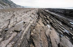 Vista parcial de la costa zumaiarra y sus formaciones geológicas naturales (foto argia.com)