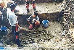 Recuperación de dos esqueletos humanos de la Guerra Civil en Zaldibia (foto Aranzadi)