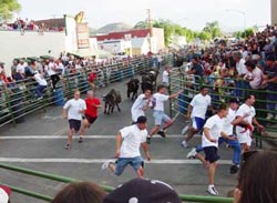 Jóvenes corren en una edición anterior del encierro elkotarra (foto BasqueHeritage.com)