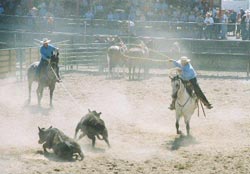 El rodeo es uno de los atractivos de la Feria del Condado de Eureka, en Nevada (foto Eureka CF)