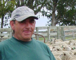 Dionisio Txoperena con su rebaño de ovejas en Tomales, California (foto EuskalKultura.com)