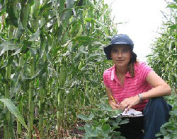 Laura Echarte en una de las plantaciones argentinas donde ha llevado a cabo sus estudios de campo