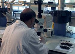El rodaje de 'Tras un largo silencio' recoge las investigaciones de la Sociedad Aranzadi