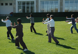 Mintegiak bere baitan bildu zuen klase praktikoetako bat tai-chi tailerra izan zen (argazkia C.Urdangarin)