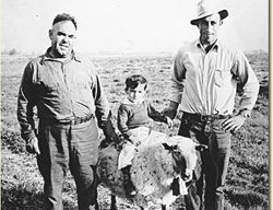 Tres generaciones de pastores vascos de Idaho: Victor Echevarria, su nieto Henry Achurra (sobre la oveja) y su yerno Santiago Achurra  (foto Idaho State Historical Society)