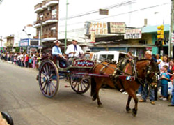 El desfile de carromatos históricos ha sido una de las atracciones del 135 aniversario (foto ElSol)