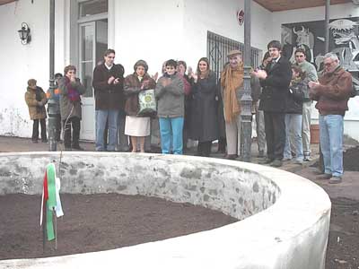 A shoot or sprout of the Tree of Gernika, planted by the Basque Community of Bragado (library photo)