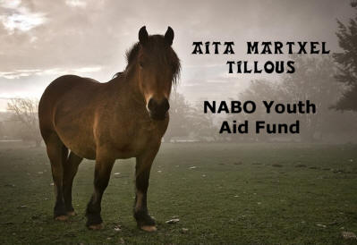 Aita Martxel Tillous NABO Youth Aid Fund bekaren afitxeko irudia (argazkia Nabasque.org) 