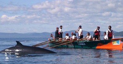 Photo from a previous expedition in the St. Lawrence River by Ibaialde in 2003 (photo Ibaialde)