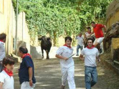 Muchos valientes se animaron a correr en el encierro de la Euzko Etxea de Caracas, que contó con toros jóvenes de la gandería Triviño (foto Jazoera)