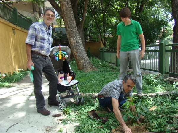 La plantación del árbol, a cargo de Unai Azpiritxaga Badiola, con los ayudantes Oriana Ainoa Arriaga Lobascio (coche), Anton Arriaga Aguirre y Julen Azpiritxaga Zubizarreta (fotoEE)