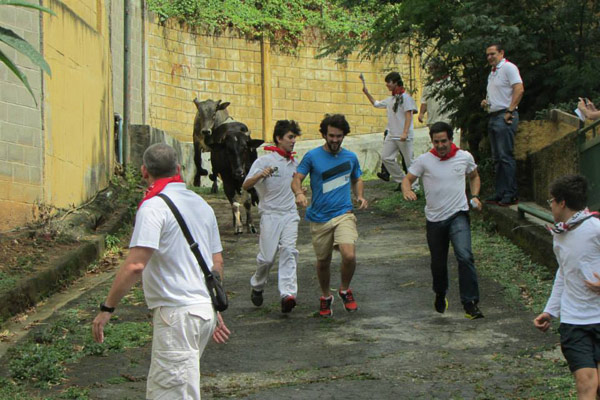 Los toros de la ganadería Tribiño protagonizaron un año más la fiesta de San Fermínn de Eusko Etxea de Caracas, en Venezuela (foto CaracasEE)