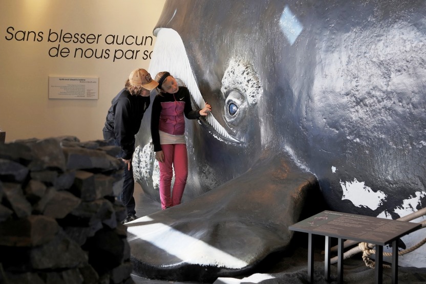 The new exhibition on how Basque whalers lived and worked in the region, in the 16th Century, has attracted three times more visitors this summer than during the last one of the previous exposition. (photo PABA)