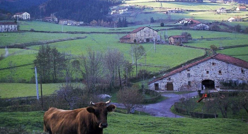 Los caseríos Gurtubay-beaskoa y Gurtubay-ganekoa, en Atxondo