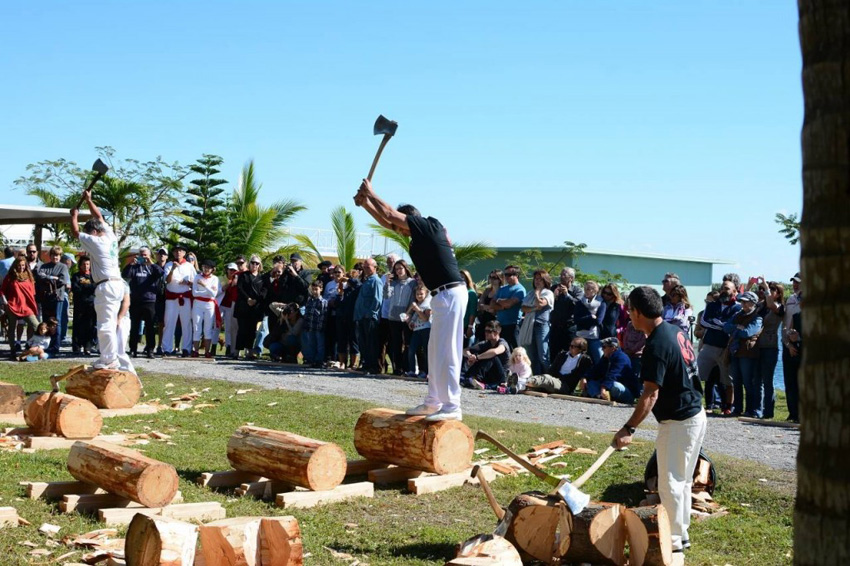 Azkolaris (wood choppers) in Miami, at the first Herrri Kirolak, Basque Rural Sports Festival