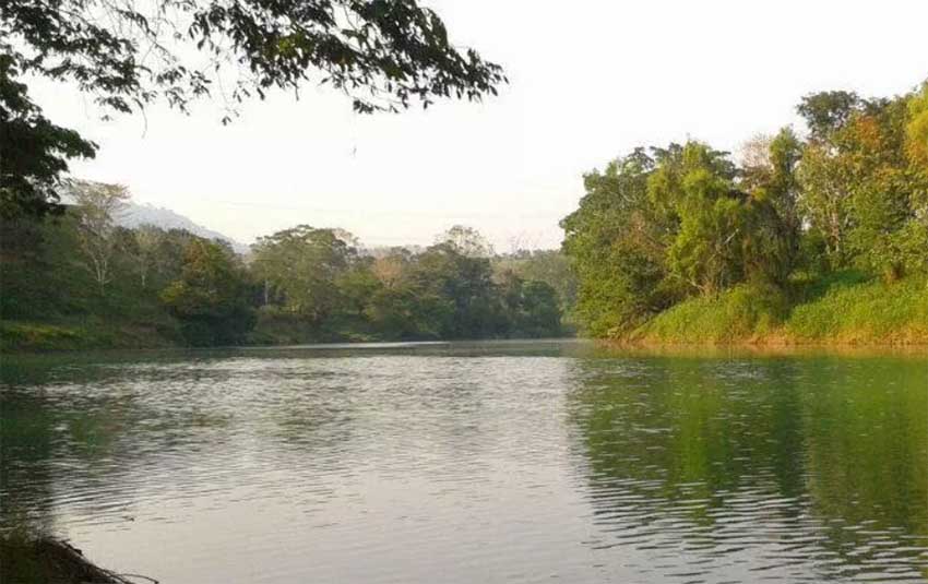 El Vizcaino Biosphere Reserve (photo Rolando Mejia)