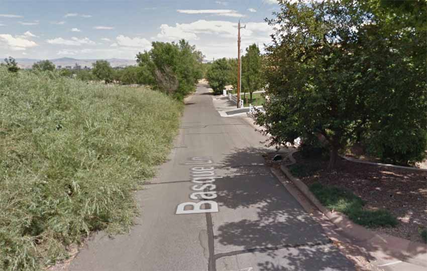 Basque Lane in Reno, NV (photo Google Earth)