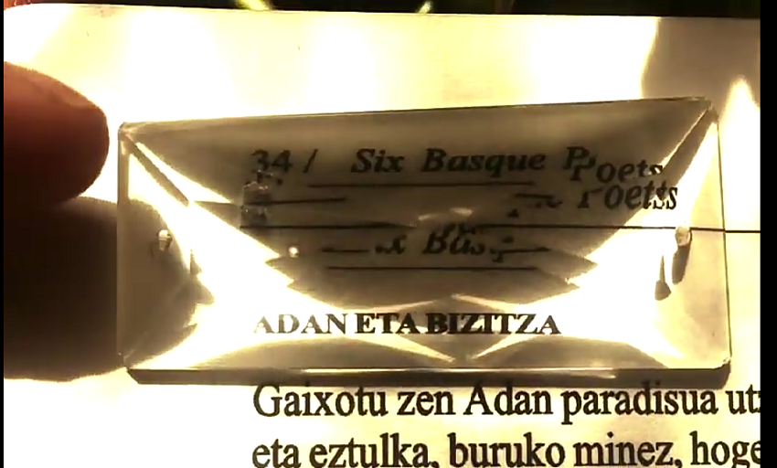 "Adam and Life," the first video-poem offered by Amaia Gabantxo, with the original text by Bernardo Atxaga