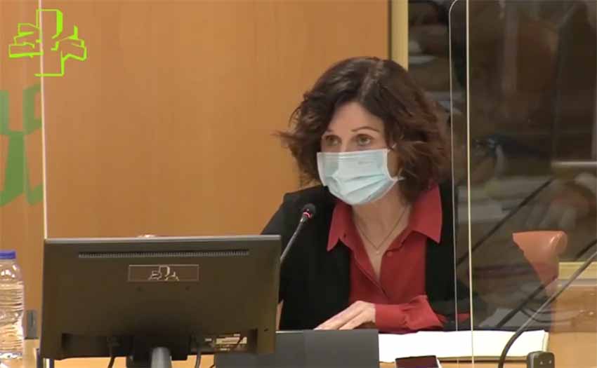 La secretaria general de Acción Exterior, Marian Elorza, interviene en la Comisión del Parlamento Vasco