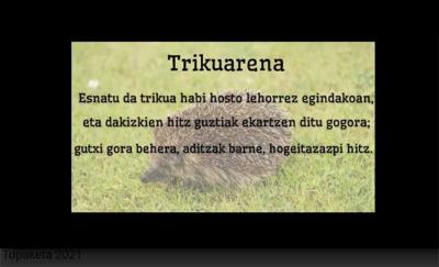 Texts in each language were read during the online meeting. In the Basque case, it was one by Bernardo Atxaga