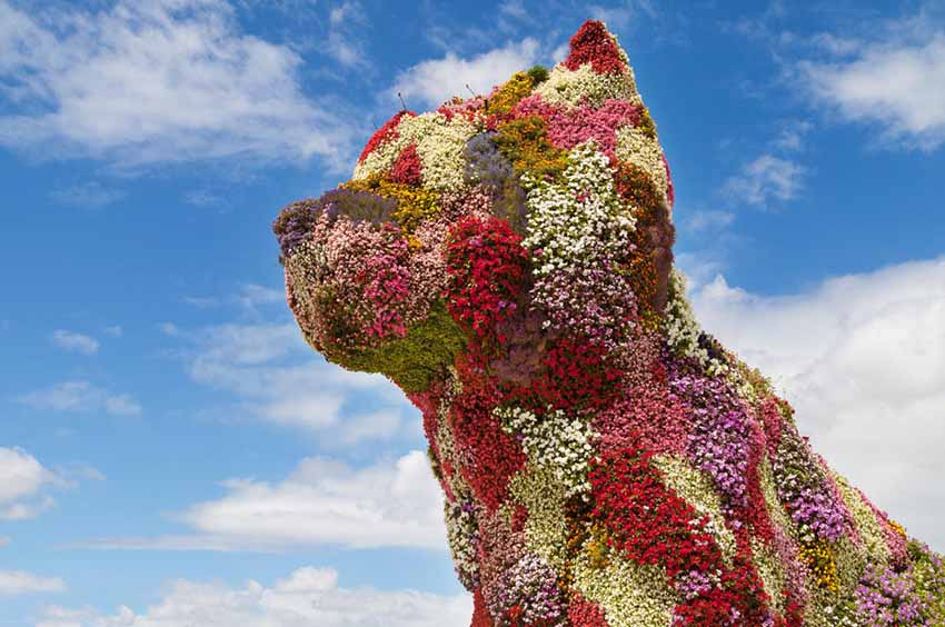 Bilbon Guggenheim Museo ondoan zaintzaile dagoen 'Puppy', Jeff Koons artista estatubatuarraren lorezko obra