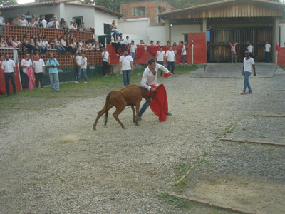 Valencia Carabobo San Fermin 2013